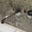 Chrome Wall Mounted Mixer Basin Tap
