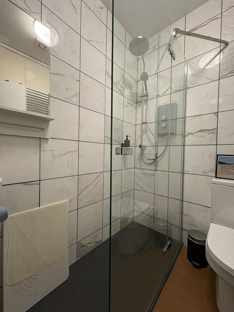 Hinged Shower Door - Chrome 1200mm