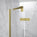 Hinged Shower Door - Brushed Brass 900mm