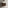 Scanalato Double Drawer Vanity Unit  With Beyondstone BLOC Basin - Walnut 600mm