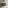 Scanalato Double Drawer Countertop Vanity Unit - Seaweed 600mm