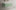 Raffinata Single Drawer Countertop Vanity Unit - Matt Light Green 800mm