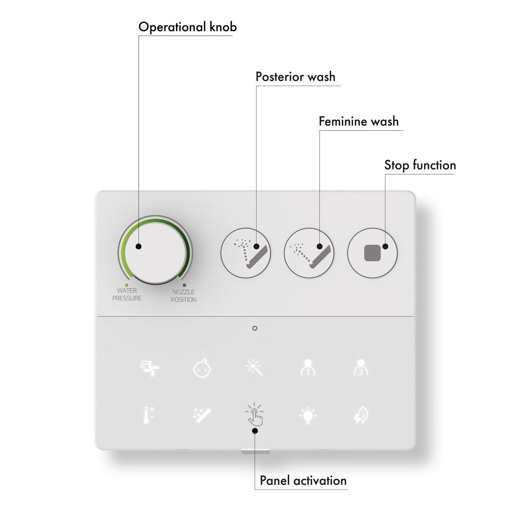 Smart Toilet, Concealed Cistern And Frame And Brushed Brass Flush Plate