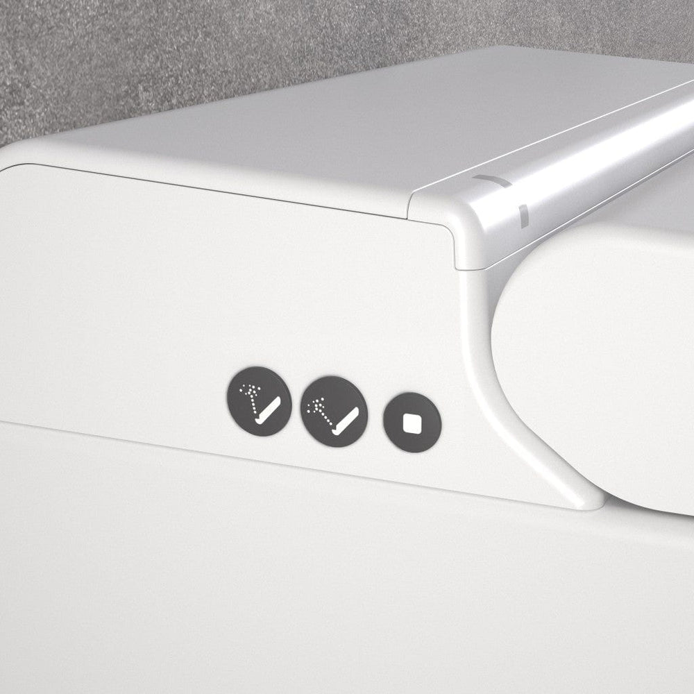 Smart Toilet, Concealed Cistern And Frame And Brushed Brass Flush Plate