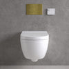 Smart Toilet, Concealed Cistern And Frame And Brushed Brass Flush Plate