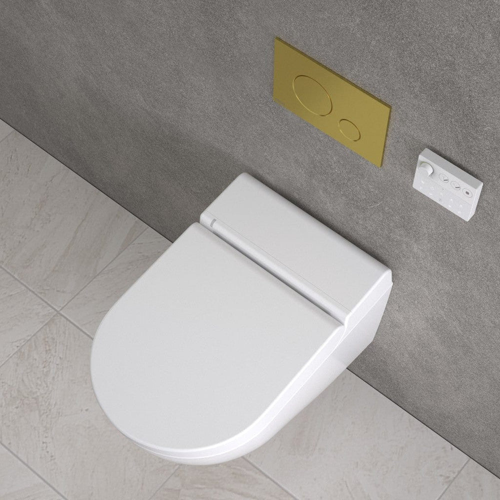 Smart Toilet, Concealed Cistern And Frame And Brushed Brass Flush Plate