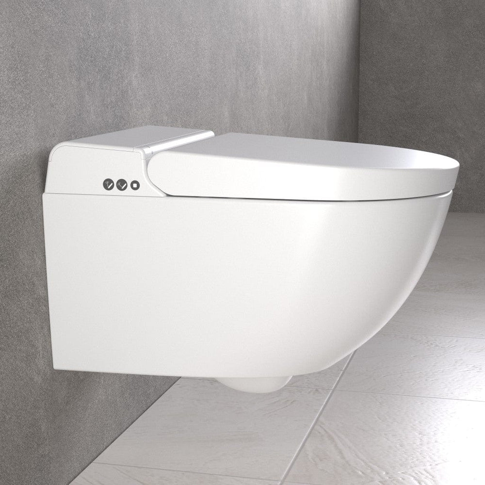 Smart Toilet, Concealed Cistern And Frame And Brushed Brass Flush Plate