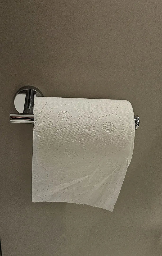 Toilet Roll Holder - Chrome