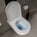 Tondi Wall Hung Rimless Toilet & Soft Close Seat - 55cm Gloss White
