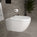 Tondi Wall Hung Rimless Toilet & Soft Close Seat - 55cm Matt White