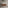 Raffinata One Drawer Vanity Unit  With Beyondstone Basin - Walnut 700mm